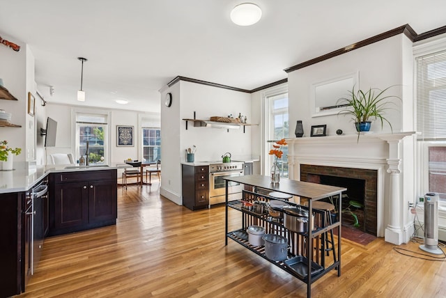 148 State St, Portland, ME 04101 - dining space featuring ornamental molding, light wood-type flooring, plenty of natural light, and a fireplace with flush hearth
