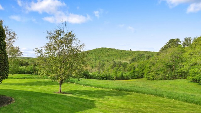 216 Monroe Rd, Winterport, ME 04496 - view of mountain background featuring a forest