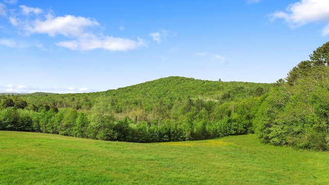 216 Monroe Rd, Winterport, ME 04496 - view of mountain background featuring a forest