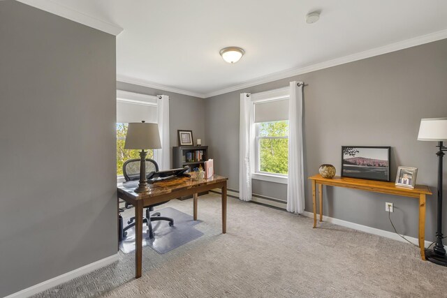 216 Monroe Rd, Winterport, ME 04496 - carpeted office with crown molding, healthy amount of natural light, baseboards, and baseboard heating