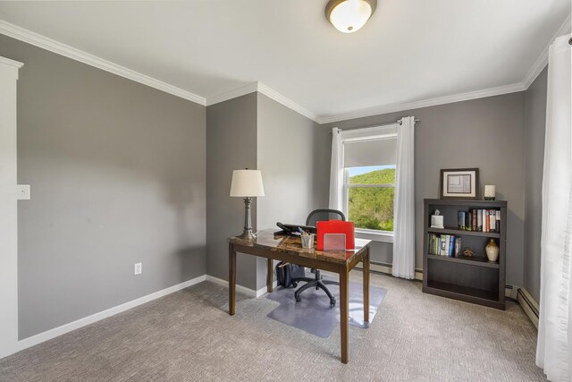 216 Monroe Rd, Winterport, ME 04496 - carpeted office space featuring ornamental molding, baseboard heating, and baseboards