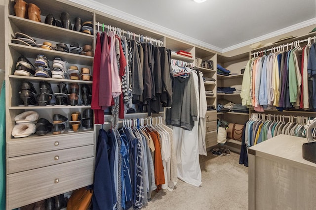216 Monroe Rd, Winterport, ME 04496 - walk in closet with carpet flooring