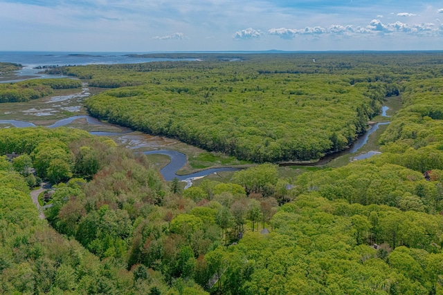 4 Shore Rd, Biddeford, ME 04005 - drone / aerial view of a forest and a nearby body of water