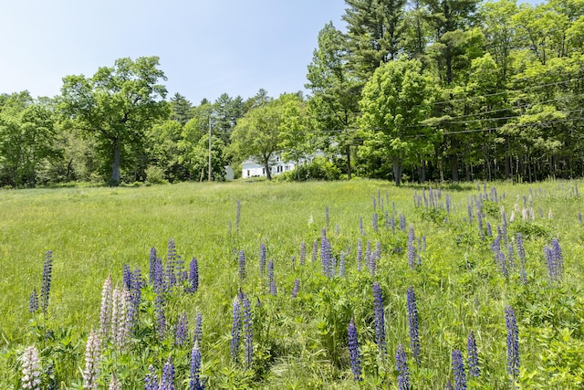 37 Walker Rd, Boothbay, ME 04537 - view of woods
