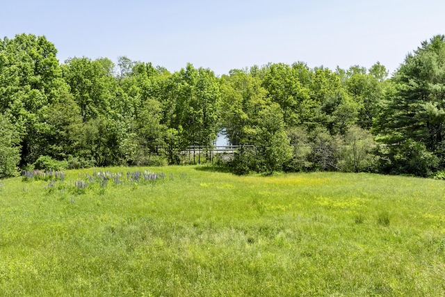 37 Walker Rd, Boothbay, ME 04537 - view of yard