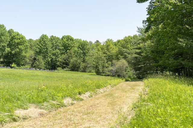 37 Walker Rd, Boothbay, ME 04537 - view of wooded area