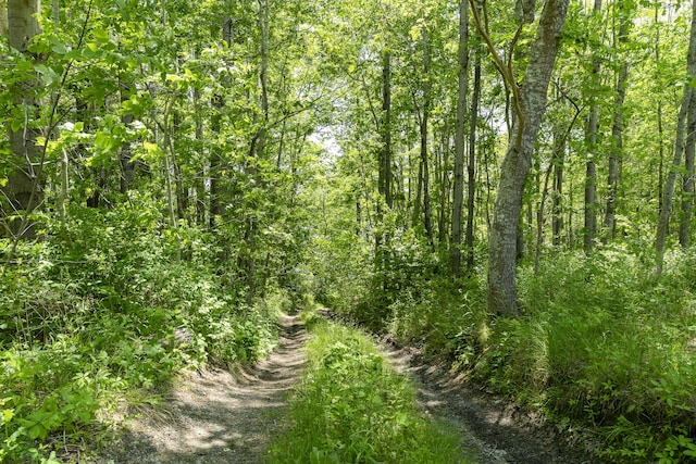 37 Walker Rd, Boothbay, ME 04537 - view of woods