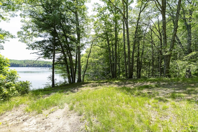 37 Walker Rd, Boothbay, ME 04537 - water view with a forest