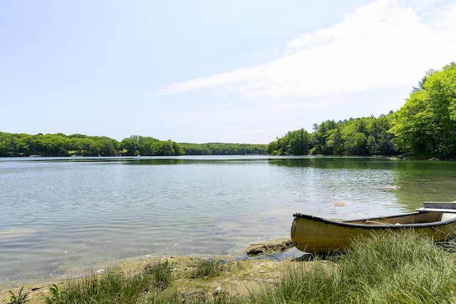 37 Walker Rd, Boothbay, ME 04537 - water view with a heavily wooded area
