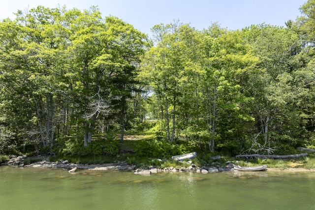 37 Walker Rd, Boothbay, ME 04537 - water view featuring a forest