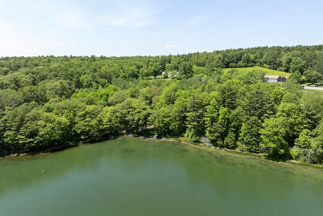 37 Walker Rd, Boothbay, ME 04537 - view of property location with a forest and a nearby body of water