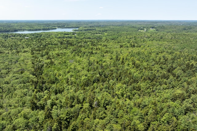 37 Walker Rd, Boothbay, ME 04537 - drone / aerial view of a heavily wooded area and a large body of water