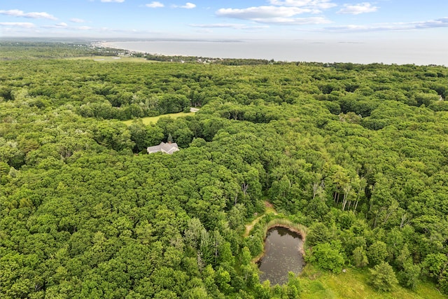 30 Plymouth Dr, Saco, ME 04072 - aerial view of a heavily wooded area and a large body of water
