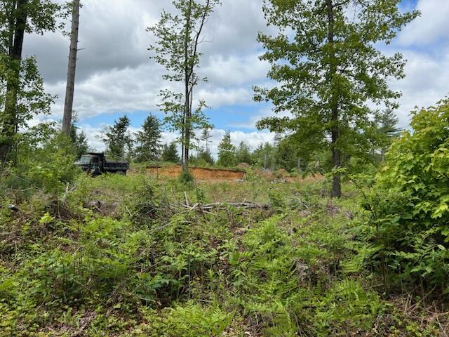 00 Cemetery Rd, Lebanon, ME 04027 - photo 3