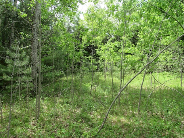 M11 L10-1-1 Lambert Rd, Skowhegan, ME 04976