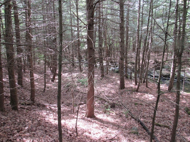 M11 L10-1-1 Lambert Rd, Skowhegan, ME 04976