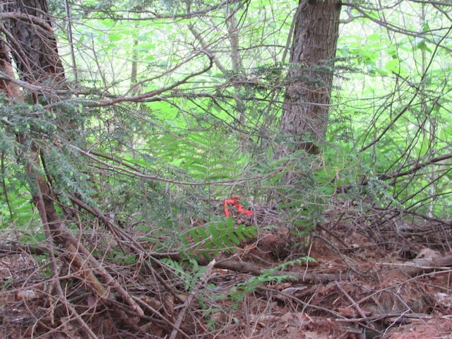 M11 L10-1-1 Lambert Rd, Skowhegan, ME 04976