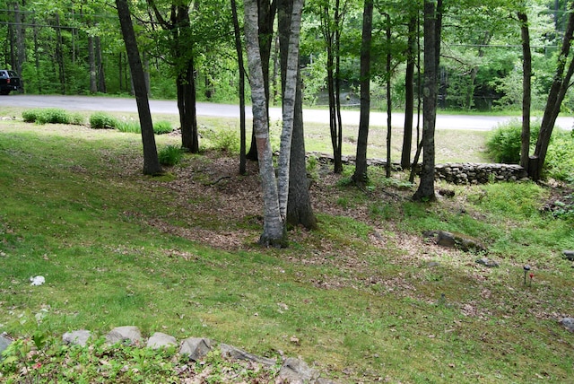 16 Evergreen Estates Rd, Nobleboro, ME 04555 - view of yard with a forest view