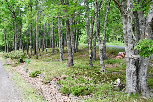 16 Evergreen Estates Rd, Nobleboro, ME 04555 - view of yard