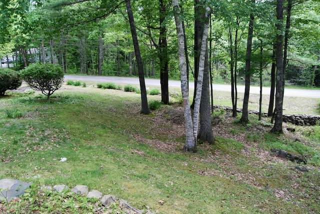 16 Evergreen Estates Rd, Nobleboro, ME 04555 - view of green lawn featuring a view of trees