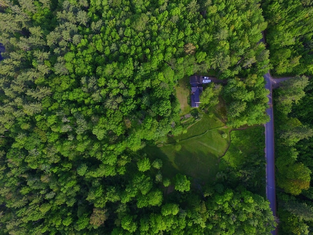 115 Wards Hill Rd, Baldwin, ME 04091 - aerial view of property and surrounding area