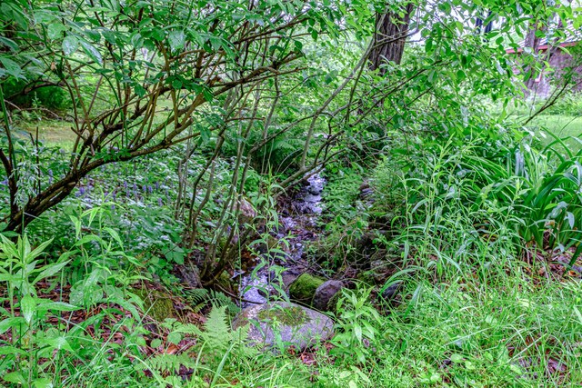 115 Wards Hill Rd, Baldwin, ME 04091 - view of local wilderness