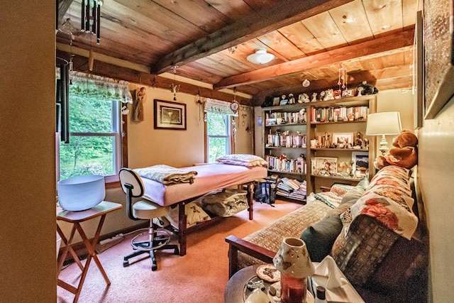 115 Wards Hill Rd, Baldwin, ME 04091 - office space with a wooden ceiling with exposed beams and carpet floors