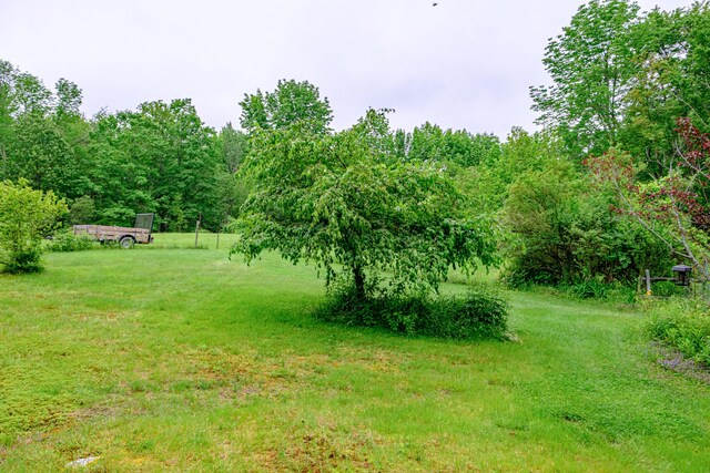 115 Wards Hill Rd, Baldwin, ME 04091 - view of yard