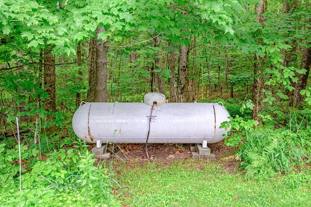 115 Wards Hill Rd, Baldwin, ME 04091 - exterior view of gas tank
