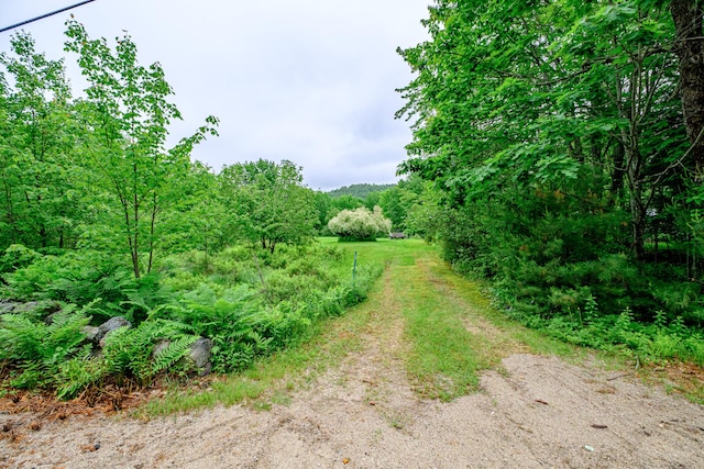 115 Wards Hill Rd, Baldwin, ME 04091 - view of street with a forest view