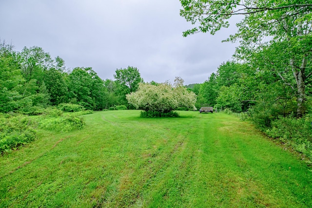 115 Wards Hill Rd, Baldwin, ME 04091 - view of green lawn featuring a wooded view