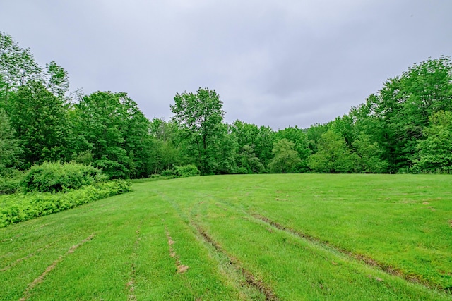 115 Wards Hill Rd, Baldwin, ME 04091 - view of green lawn with a wooded view