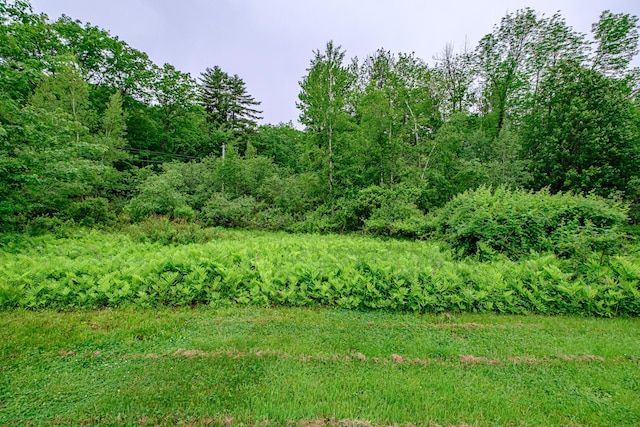 115 Wards Hill Rd, Baldwin, ME 04091 - view of undeveloped land