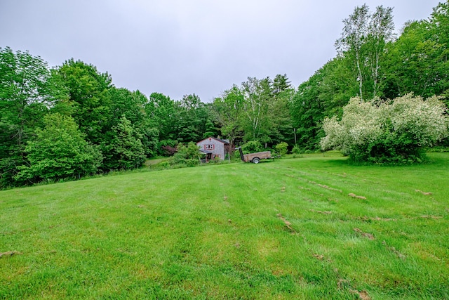 115 Wards Hill Rd, Baldwin, ME 04091 - view of grassy yard with a wooded view