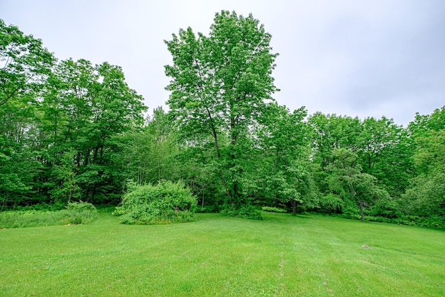 115 Wards Hill Rd, Baldwin, ME 04091 - view of grassy yard