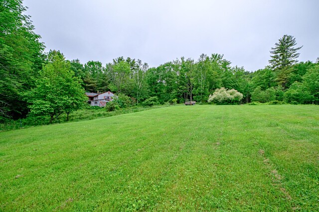 115 Wards Hill Rd, Baldwin, ME 04091 - view of green lawn featuring a forest view