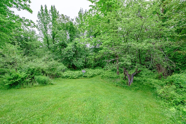 115 Wards Hill Rd, Baldwin, ME 04091 - view of grassy yard featuring a wooded view