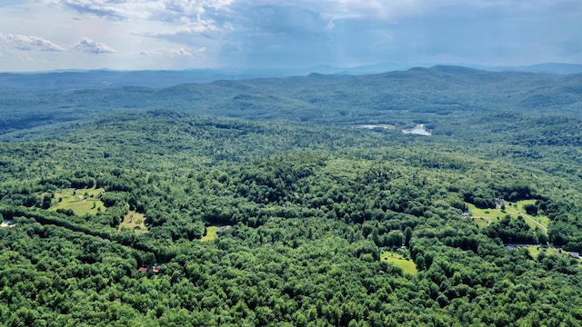 115 Wards Hill Rd, Baldwin, ME 04091 - drone / aerial view of a forest and mountains