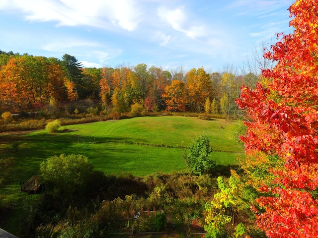 115 Wards Hill Rd, Baldwin, ME 04091 - view of community featuring a lawn