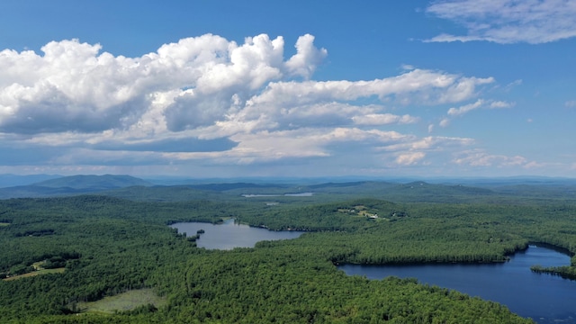115 Wards Hill Rd, Baldwin, ME 04091 - aerial view of a heavily wooded area and a water and mountain view