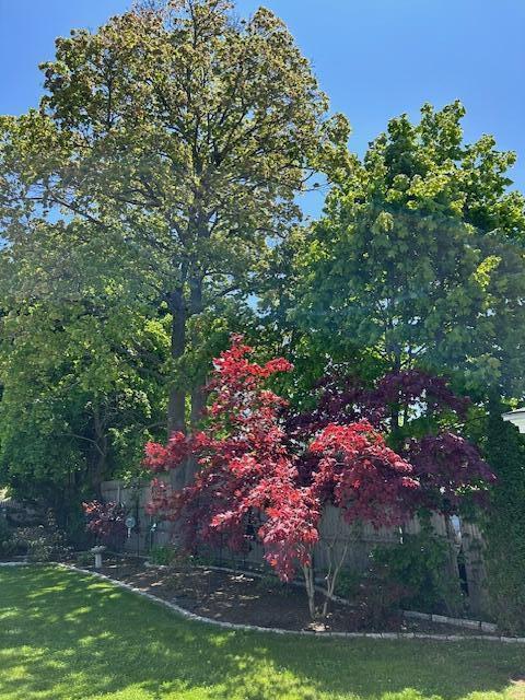48 Allen St, Bangor, ME 04401 - view of green lawn