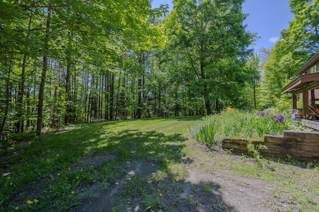1515 Industry Rd, Industry, ME 04938 - photo 49