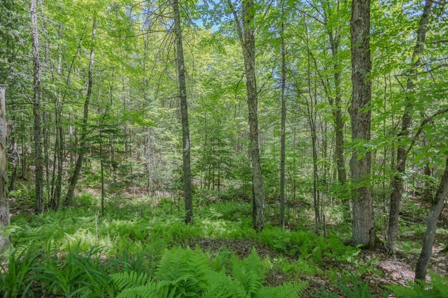 1515 Industry Rd, Industry, ME 04938 - photo 50