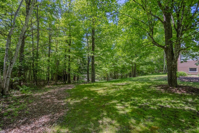 1515 Industry Rd, Industry, ME 04938 - photo 52