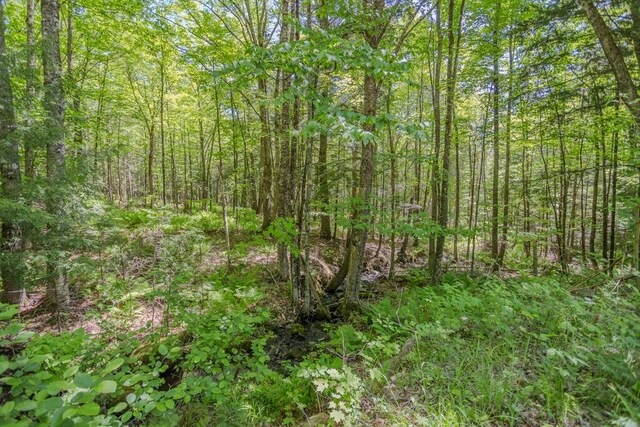 1515 Industry Rd, Industry, ME 04938 - photo 56