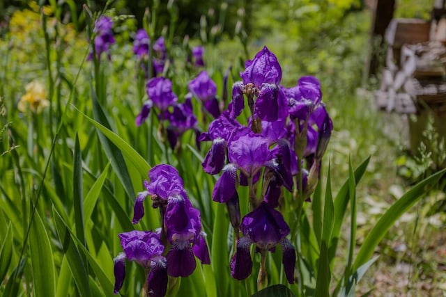 1515 Industry Rd, Industry, ME 04938 - photo 65