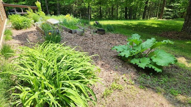 1515 Industry Rd, Industry, ME 04938 - photo 69