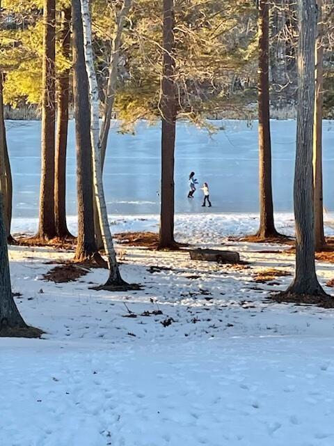 20 Doe Dr, Eliot, ME 03903 - water view