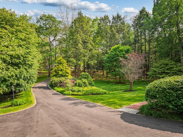 20 Doe Dr, Eliot, ME 03903 - view of property's community with a yard