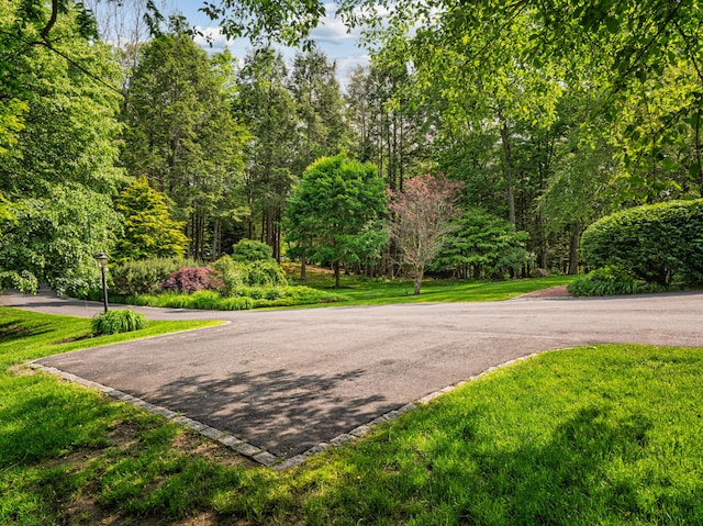 20 Doe Dr, Eliot, ME 03903 - view of home's community with a yard